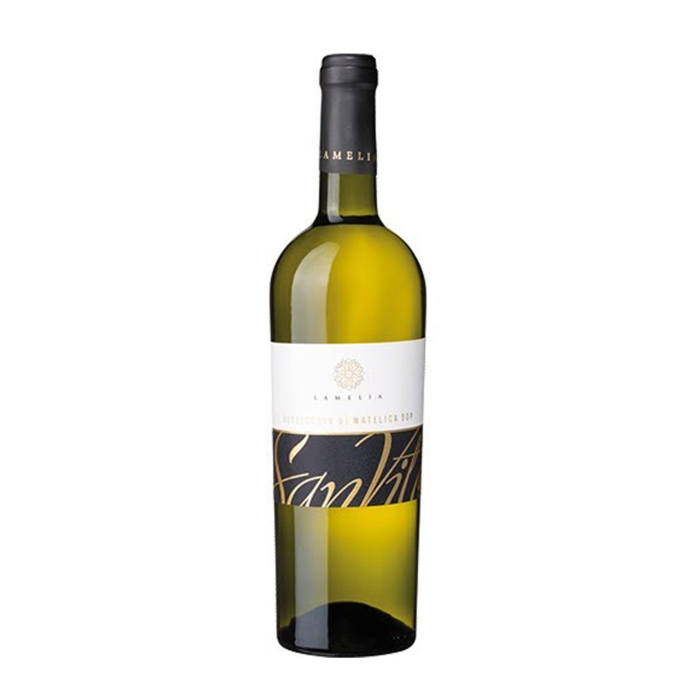 VERDICCHIO DI MATELICA, SAN VITO 2022