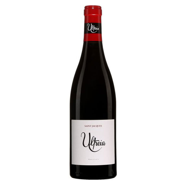 ULTREIA, SAINT JACQUES, BIERZO, RAUL PEREZ 2021